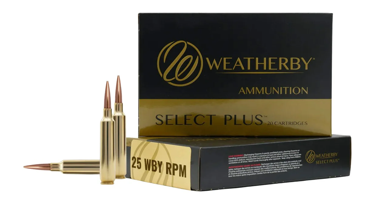 WTHBY B25RPM117LRX 25WBY RPM 117G BARNES LRX 20/10